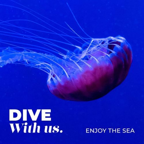 dive-with-us.jpg