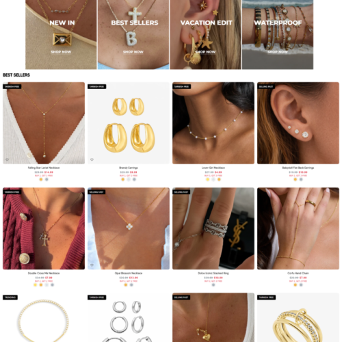 screencapture-evryjewels-2026-03-26-17_06_21